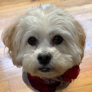 Meet your Posher, Christine